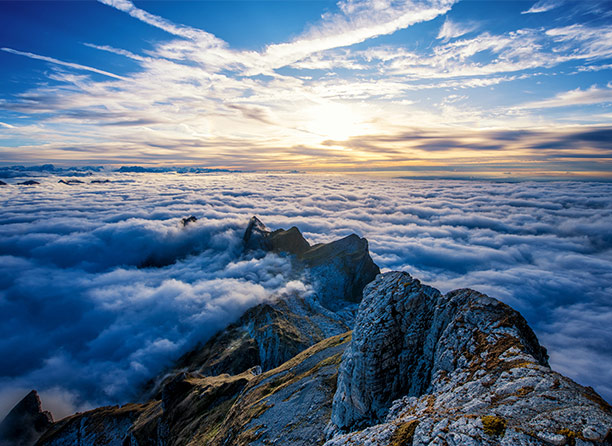 上海益圖潤(rùn)滑油有限公司